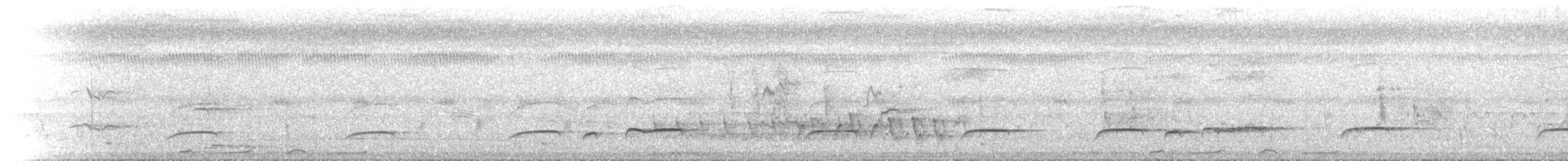 Buschkuckuck - ML646640965