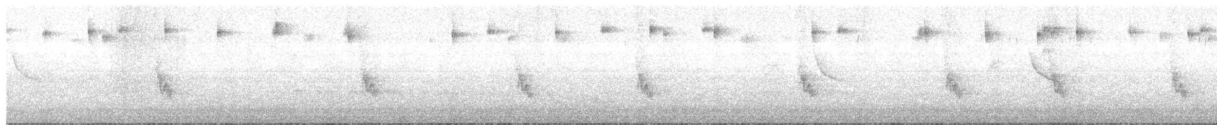 Sicale bouton-d'or - ML646640969