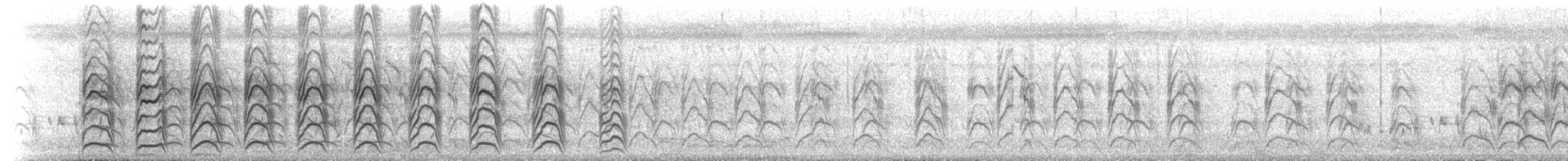 Weißbrauen-Sumpfhuhn - ML646640970