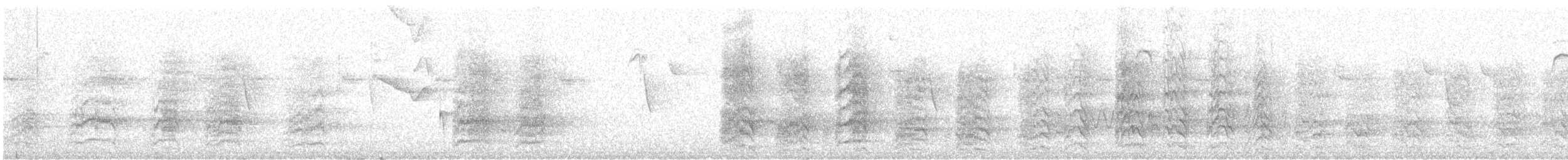 Blue-crowned Parakeet - ML646640972