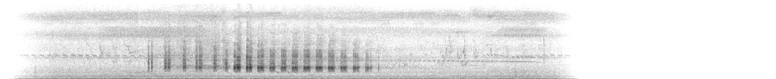 Austral-Schlangenhalsvogel - ML646640973