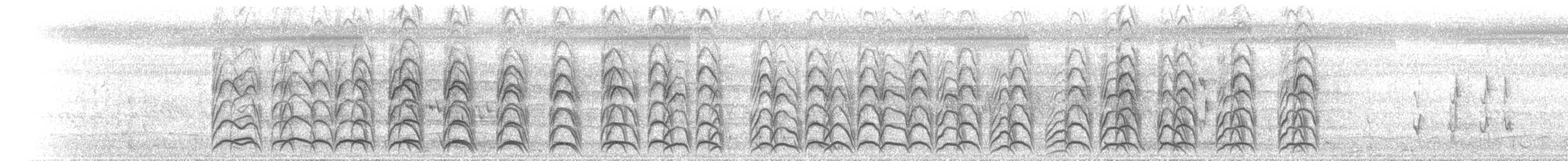 Weißbrauen-Sumpfhuhn - ML646640974