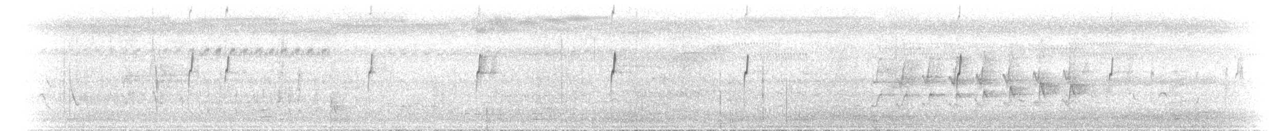 Sonnenamadine - ML646640985