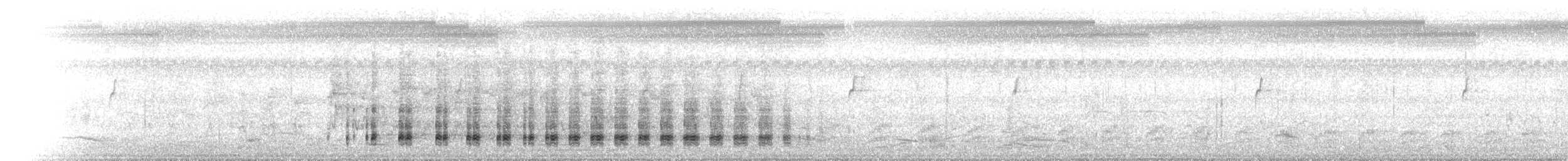 Austral-Schlangenhalsvogel - ML646640989