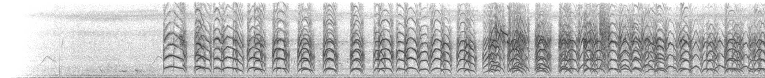 Weißbrauen-Sumpfhuhn - ML646640991