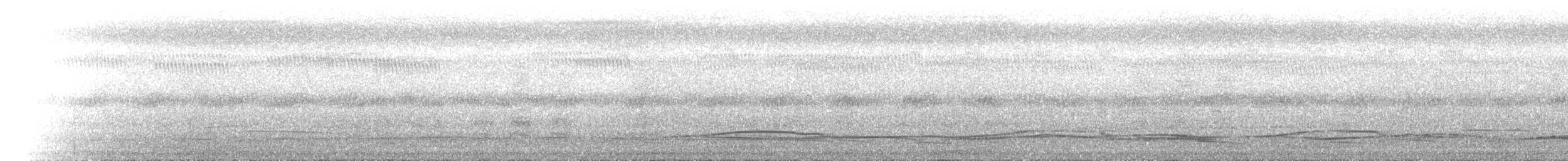 Langschwanztriel - ML646641002