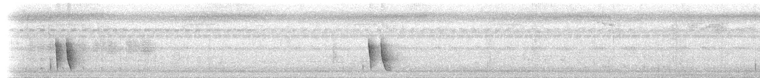 Augenstreifschnäpper - ML646641011