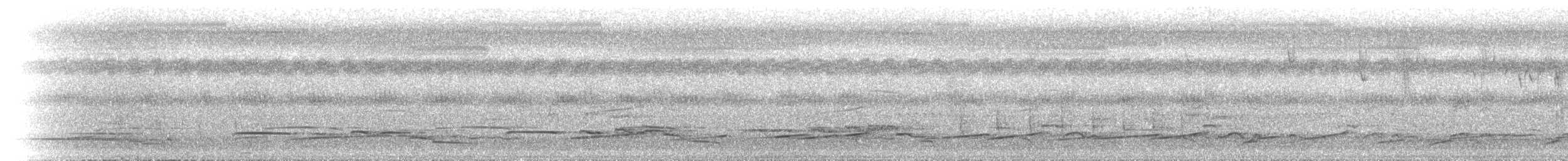 Langschwanztriel - ML646641016