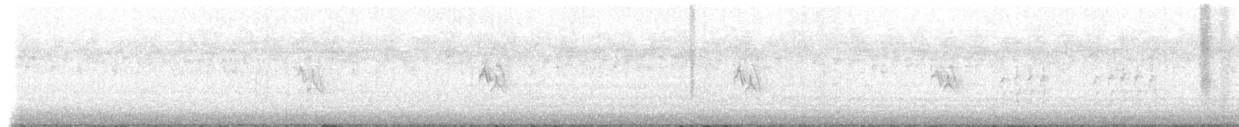 Pine Siskin - ML646641408