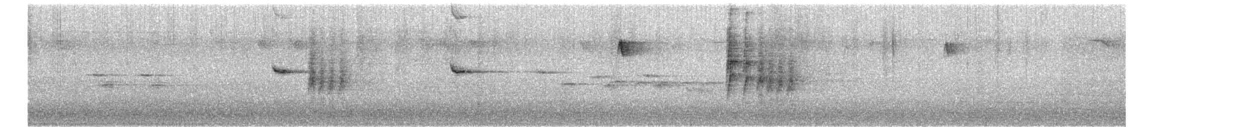 Cinciallegra - ML646641413