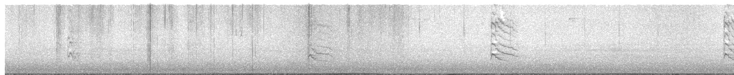 Yellow-bellied Sapsucker - ML646641461