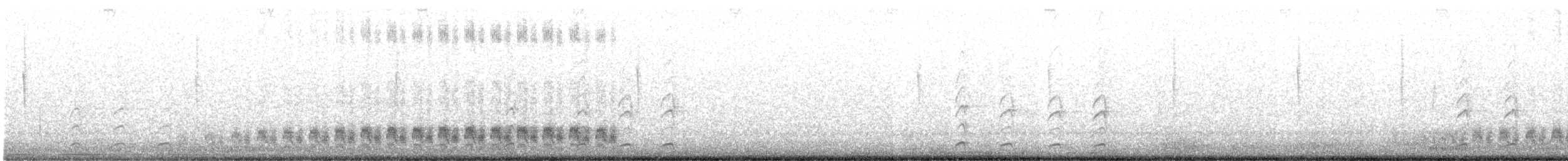 Cactus Wren - ML646641484