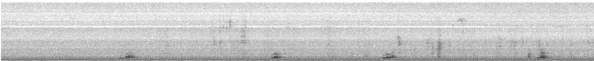 Tacchino selvatico - ML646641580