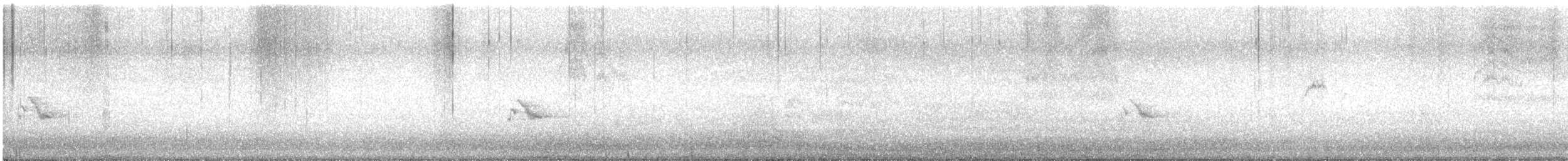 Red-whiskered Bulbul - ML646641597