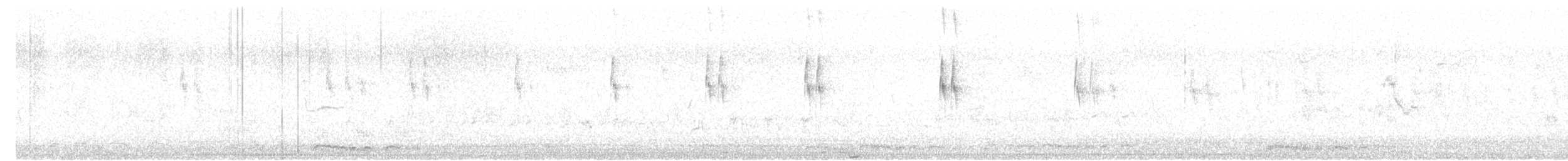 House Finch - ML646641674