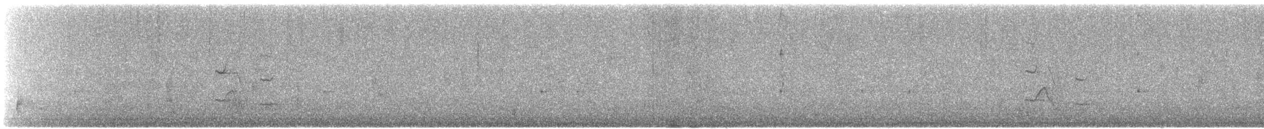 Purple Finch (Eastern) - ML646641725