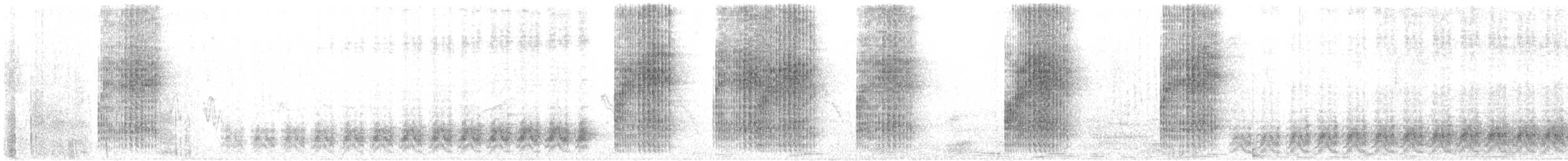 Cactus Wren - ML646641895