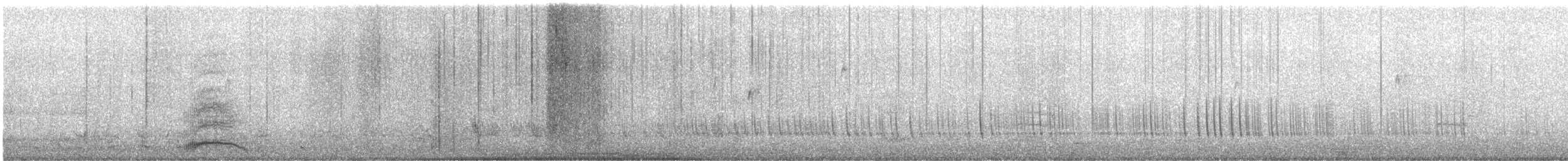 Cigno reale - ML646641950