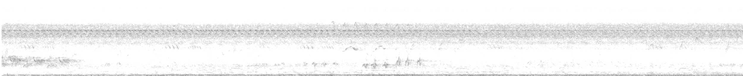 Perlhalstaube - ML646642182