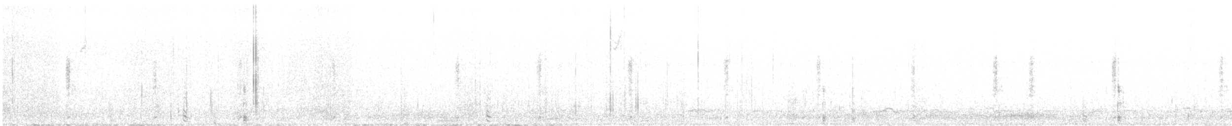 Широконоска - ML646642457