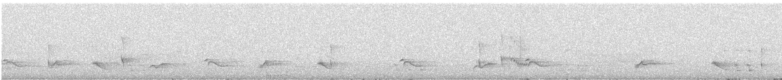 Creamy-bellied Thrush - ML646642541