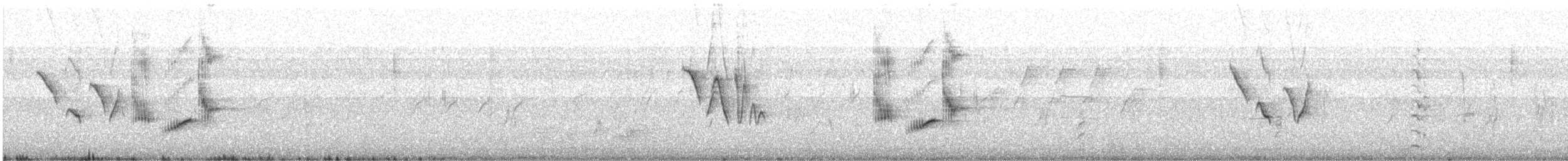 Indian Robin - ML646642591