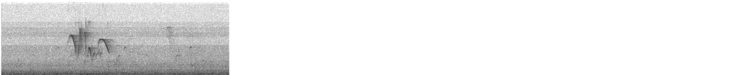 Indian Robin - ML646642592