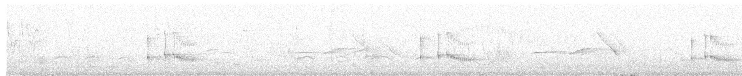 Pearly-vented Tody-Tyrant - ML646642908