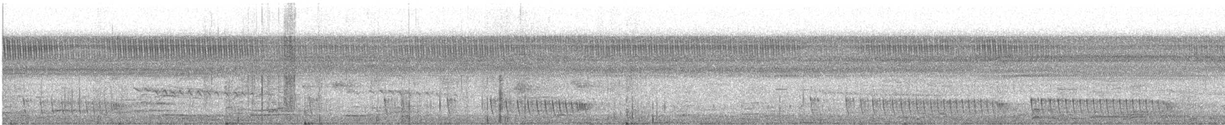 Chotacabras Hindú - ML646643065