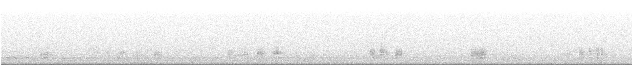 ברווז אפור - ML646643530