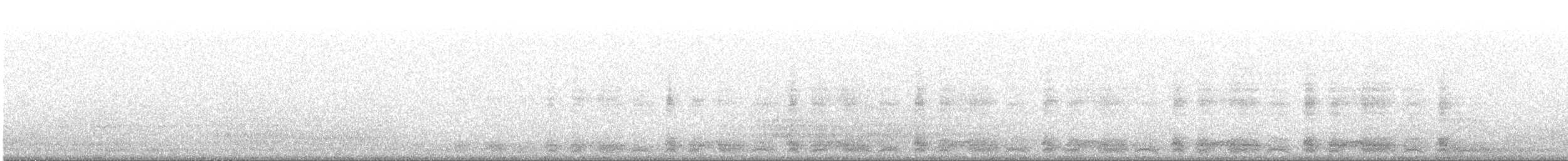 יסעור אטלנטי - ML646643535