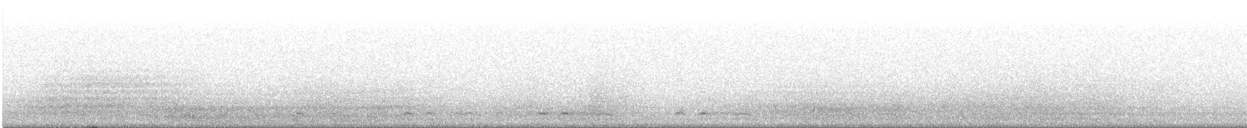 יסעור אטלנטי - ML646643536