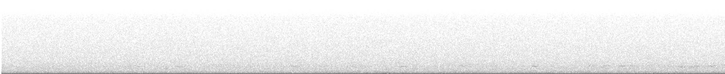 יסעור אטלנטי - ML646643537