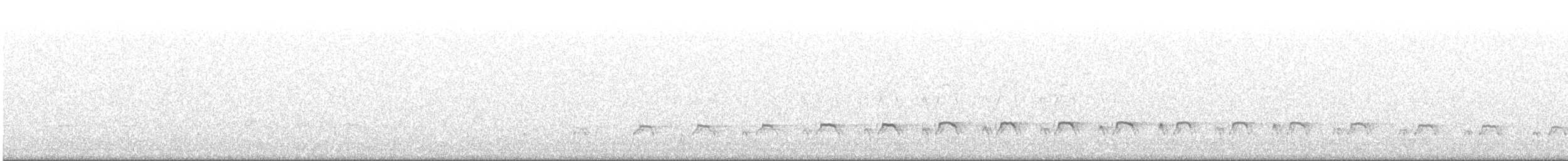 שלצדף החוף - ML646643541