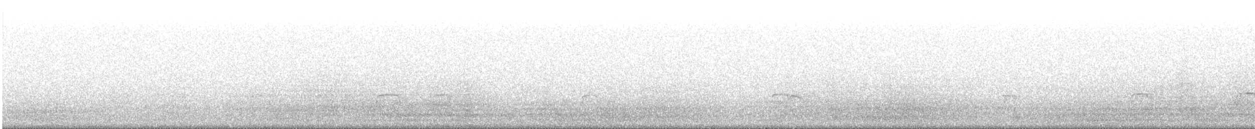 שלצדף החוף - ML646643542