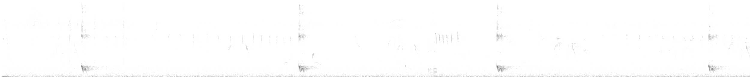 Tourco huppé - ML646643978