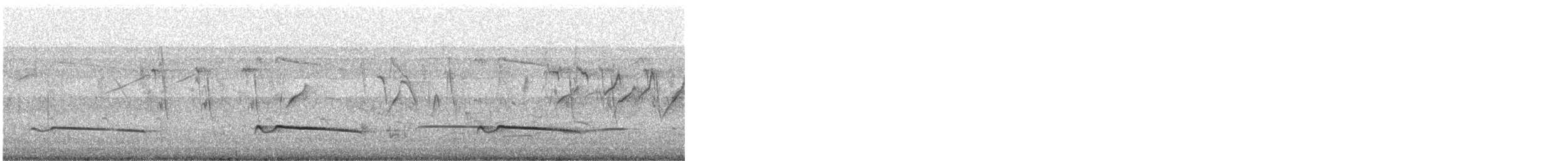 Gray-bellied Cuckoo - ML646644005