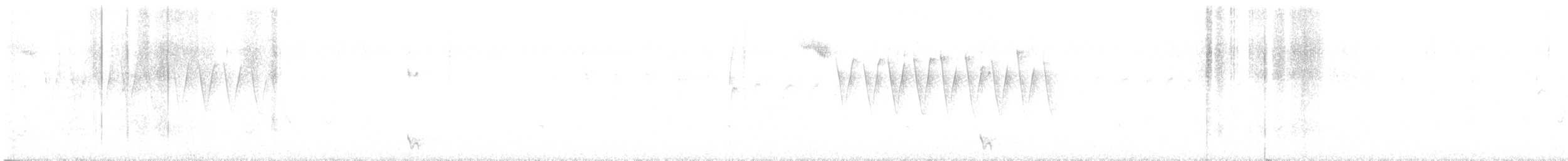 Synallaxe à calotte rayée - ML646644079