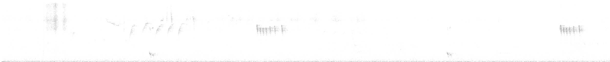 Tyranneau à toupet - ML646644242