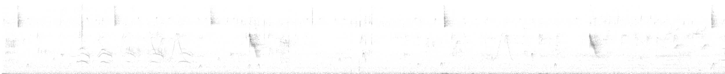 Paruline voilée - ML646644389