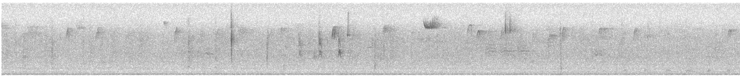 Волоочко канадське - ML646644510