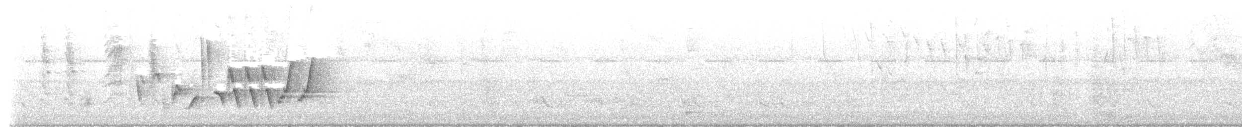 Southern House Wren - ML646644591