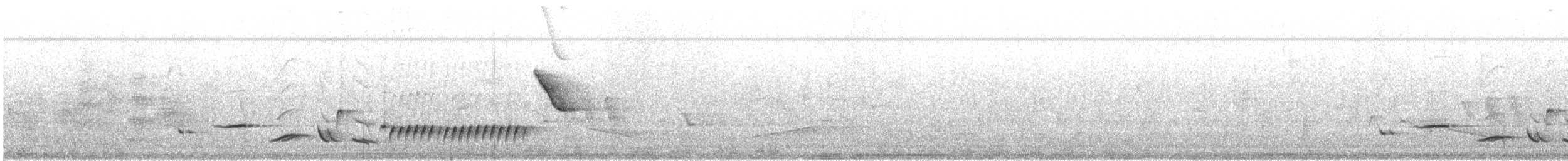 Sinaloa Wren - ML646644760