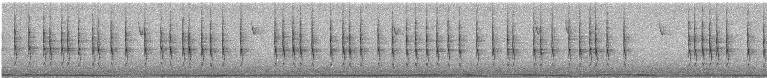 Winter Wren - ML646644940