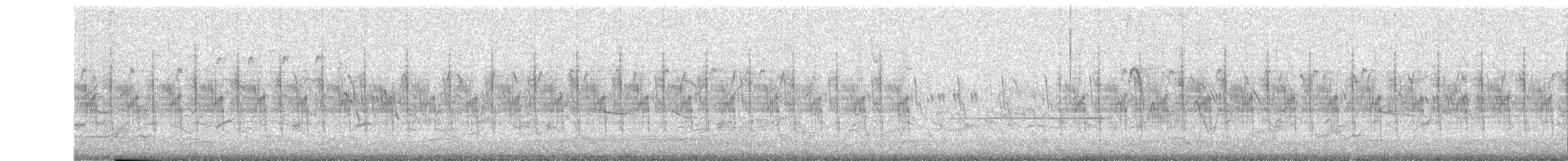 Schlichtprinie - ML646644993