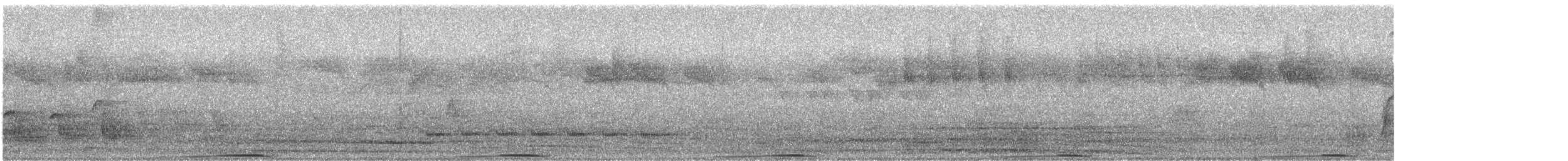 Malagasy Turtle-Dove - ML646645075