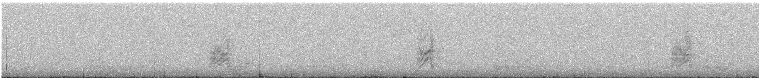 ウッドハウスカケス - ML646645123