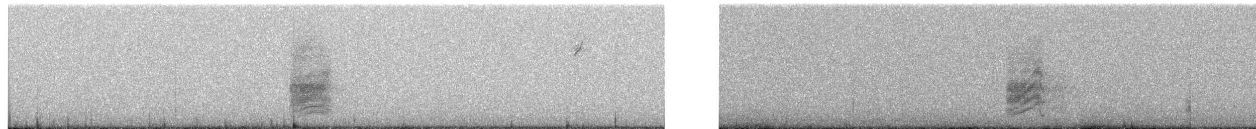 Woodhouse's Scrub-Jay - ML646645167