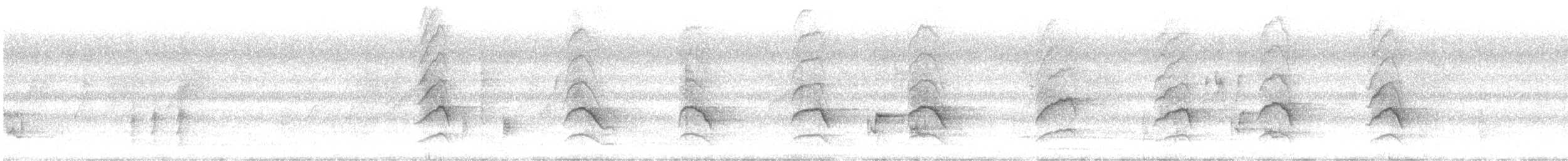 Пепельный дронго - ML646645274