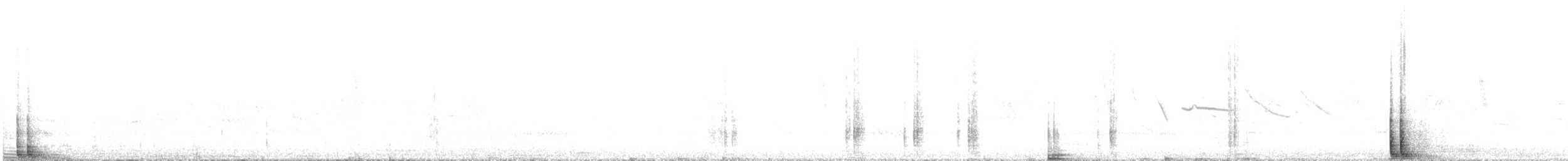 Magellanic Woodpecker - ML646645593